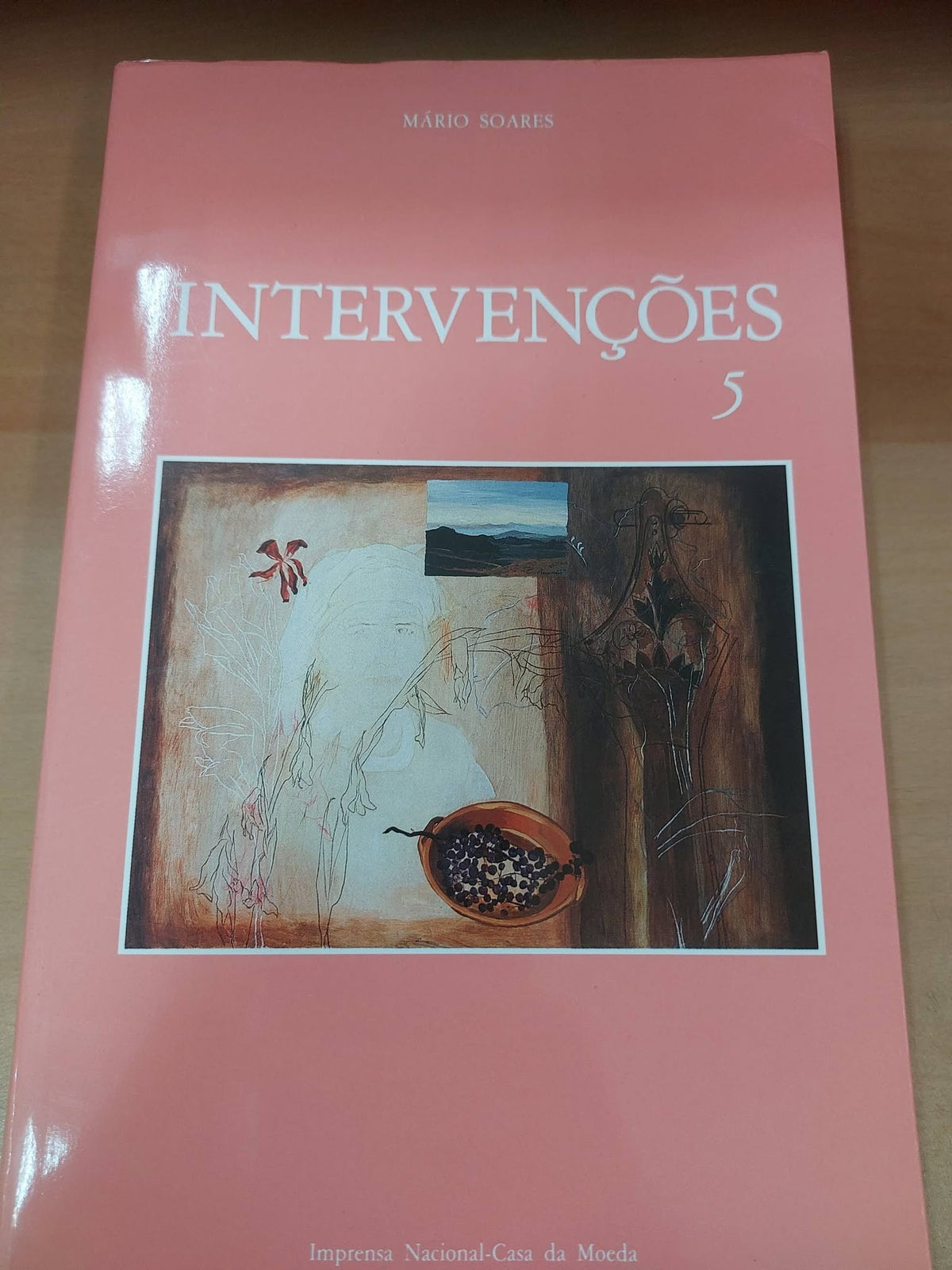 Intervenções 5