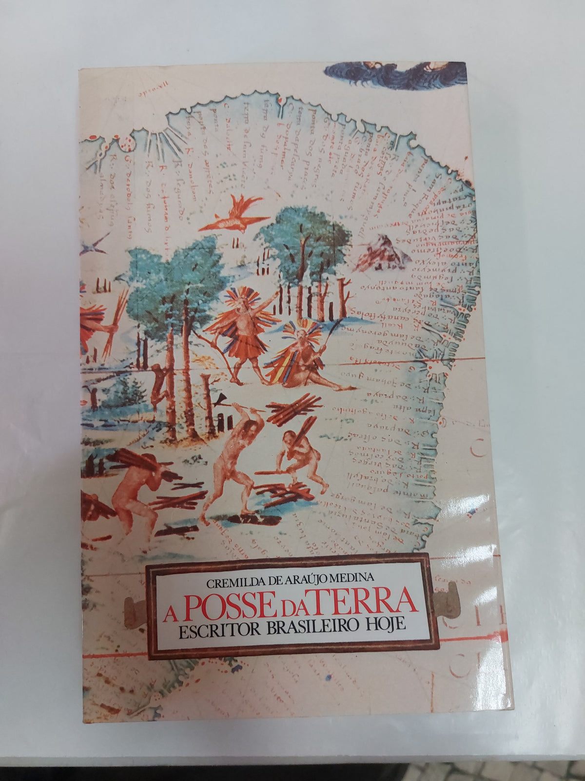 A Posse da Terra
